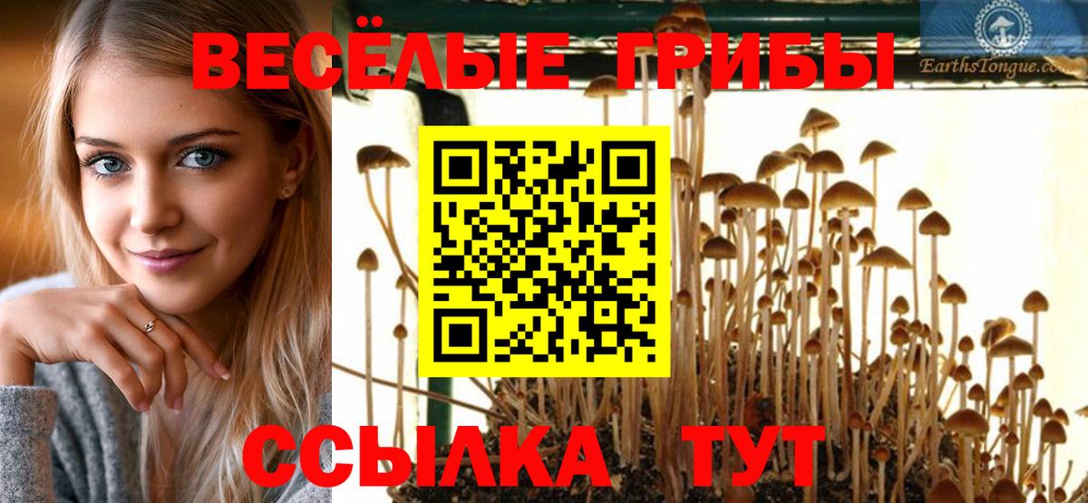 Псилоцибиновые грибы Magic Shrooms Пенза