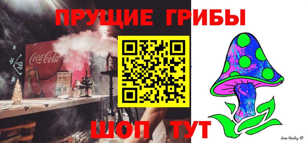 Пенза  Псилоцибиновые грибы прущие грибы  Вход с VPN 